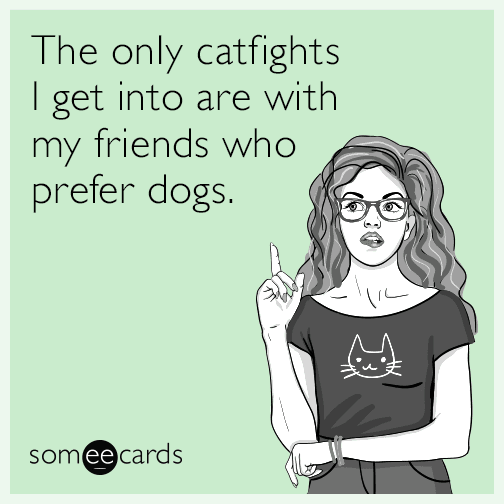 The only catfights I get into are with my friends who prefer dogs.