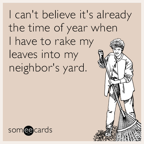 I can't believe it's already the time of year when I have to rake my leaves into my neighbor's yard.