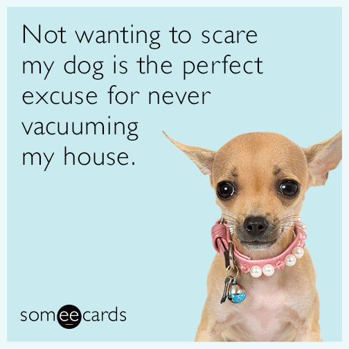 Not wanting to scare my dog is the perfect excuse for never vacuuming my house.