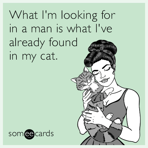 What I'm looking for in a man is what I've already found in my cat.