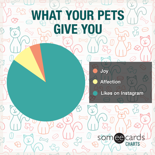 What Your Pet Gives You