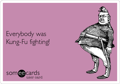 


Everybody was
Kung-Fu fighting! 

