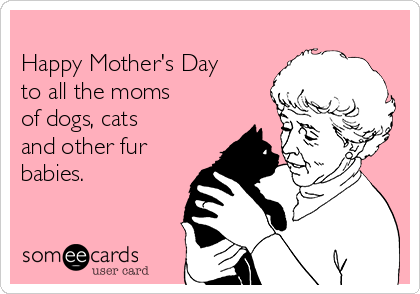 
Happy Mother's Day  
to all the moms  
of dogs, cats 
and other fur
babies. 