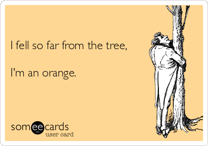 

I fell so far from the tree,

I'm an orange. 