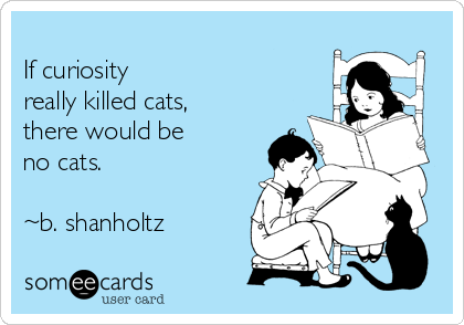 
If curiosity
really killed cats,
there would be
no cats.

~b. shanholtz