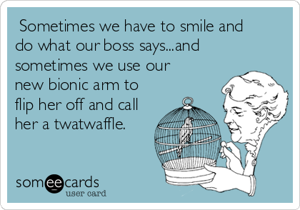  Sometimes we have to smile and
do what our boss says...and
sometimes we use our
new bionic arm to
flip her off and call
her a twatwaffle. 