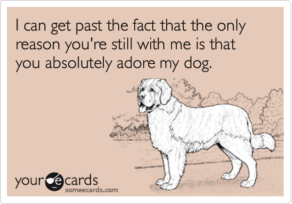 I can get past the fact that the only reason you're still with me is that you absolutely adore my dog. 