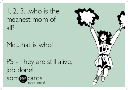 1, 2, 3....who is the 
meanest mom of
all?  

Me...that is who!

PS - They are still alive,
job done! 