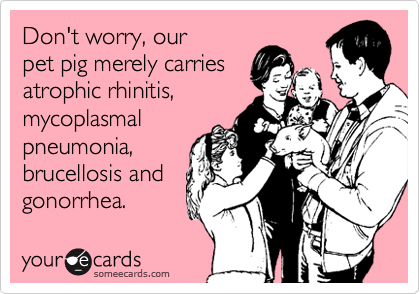 Don't worry, our 
pet pig merely carries
atrophic rhinitis,
mycoplasmal
pneumonia,
brucellosis and
gonorrhea.