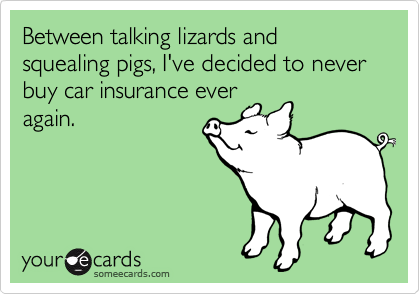 Between talking lizards and squealing pigs, I've decided to never buy car insurance ever
again.