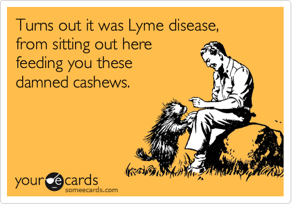 Turns out it was Lyme disease, 
from sitting out here
feeding you these
damned cashews.