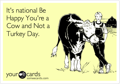 It's national Be
Happy You're a
Cow and Not a
Turkey Day.