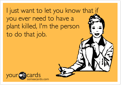 I just want to let you know that if you ever need to have a
plant killed, I'm the person
to do that job.