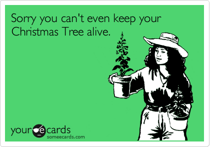 Sorry you can't even keep your Christmas Tree alive.