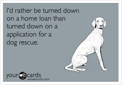 I'd rather be turned down
on a home loan than
turned down on a
application for a
dog rescue.