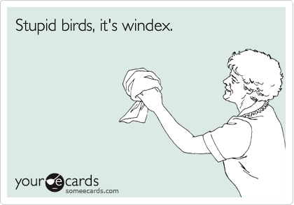 Stupid birds, it's windex.