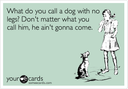What do you call a dog with no
legs? Don't matter what you
call him, he ain't gonna come.
