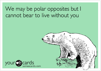We may be polar opposites but I cannot bear to live without you