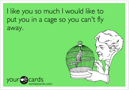 I like you so much I would like to put you in a cage so you can't fly away.