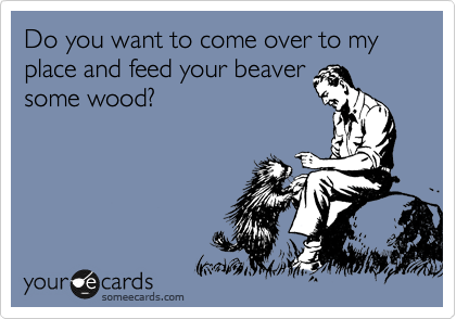 Do you want to come over to my place and feed your beaver 
some wood?