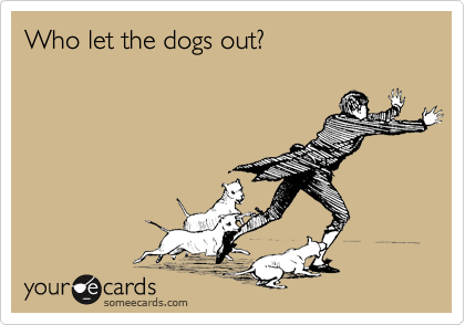 Who let the dogs out?