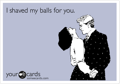 I shaved my balls for you.