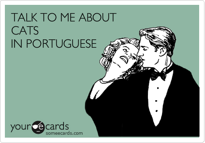 TALK TO ME ABOUT
CATS
IN PORTUGUESE