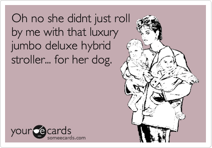 Oh no she didnt just roll
by me with that luxury 
jumbo deluxe hybrid 
stroller... for her dog. 