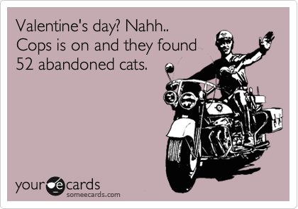 Valentine's day? Nahh..
Cops is on and they found
52 abandoned cats.