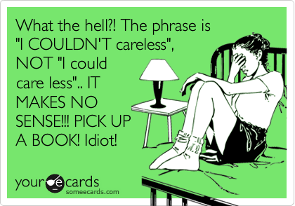 What the hell?! The phrase is
"I COULDN'T careless",
NOT "I could
care less".. IT
MAKES NO
SENSE!!! PICK UP 
A BOOK! Idiot!