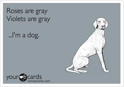 Roses are gray 
Violets are gray  

 ...I'm a dog. 