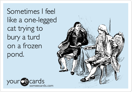 Sometimes I feel 
like a one-legged
cat trying to 
bury a turd
on a frozen
pond.