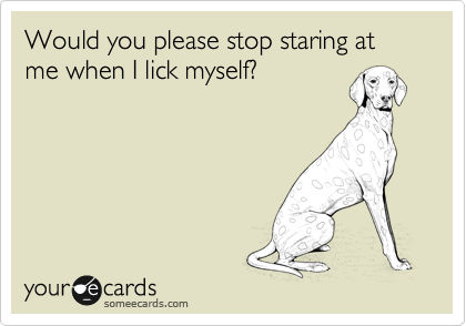 Would you please stop staring at me when I lick myself?