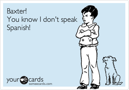 Baxter! 
You know I don't speak 
Spanish!