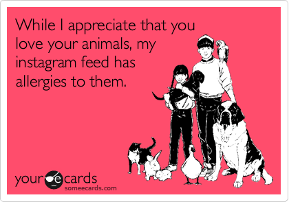 While I appreciate that you
love your animals, my
instagram feed has
allergies to them. 