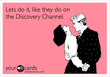 Lets do it, like they do on the Discovery Channel. | Courtesy 