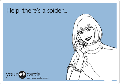 Help, there's a spider...