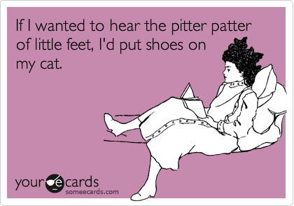 If I wanted to hear the pitter patter of little feet, I'd put shoes on
my cat.