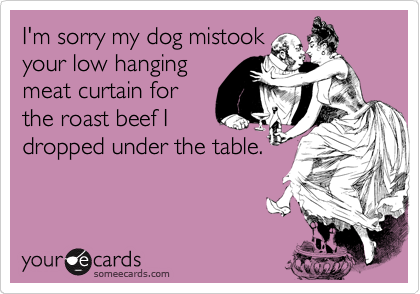 I'm sorry my dog mistook
your low hanging
meat curtain for
the roast beef I
dropped under the table. 