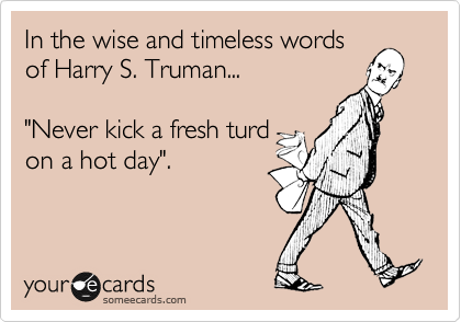 In the wise and timeless words
of Harry S. Truman...

"Never kick a fresh turd
on a hot day".