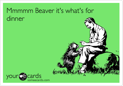 Mmmmm Beaver it's what's for dinner