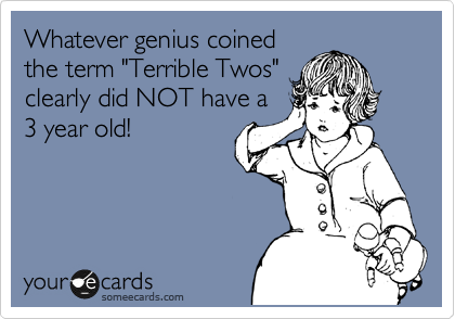 Whatever genius coined
the term "Terrible Twos"
clearly did NOT have a
3 year old!