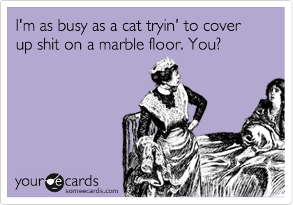 I'm as busy as a cat tryin' to cover up shit on a marble floor. You?