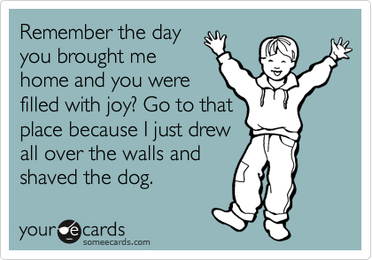 Remember the day
you brought me
home and you were
filled with joy? Go to that
place because I just drew
all over the walls and
shaved the dog. 