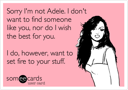 Sorry I'm not Adele. I don't
want to find someone
like you, nor do I wish
the best for you.

I do, however, want to
set fire to your stuff.