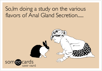 So,Im doing a study on the various flavors of Anal Gland Secretion......