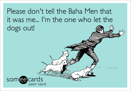 Please don't tell the Baha Men that it was me... I'm the one who let the dogs out!
