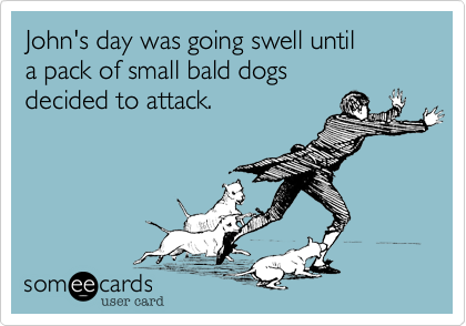 John's day was going swell until
a pack of small bald dogs
decided to attack.