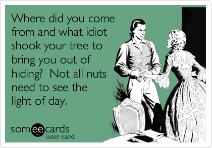 Where did you come
from and what idiot
shook your tree to
bring you out of
hiding?  Not all nuts
need to see the
light of day.