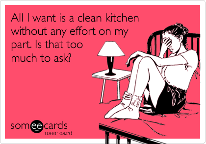 All I want is a clean kitchen
without any effort on my
part. Is that too
much to ask?